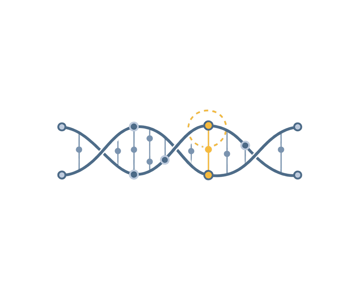A DNA double helix, with one base pair highlighted to mark a variant in the sequence.