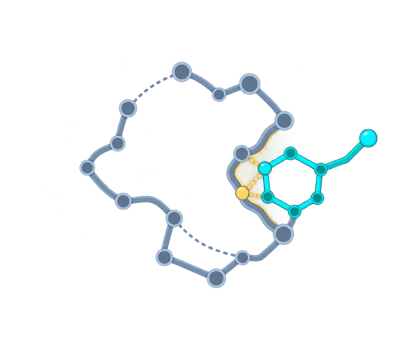 A small molecule seated in that pocket, contacting the point where the protein was altered.